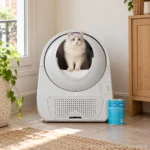 CATLINK Scooper Young, in context